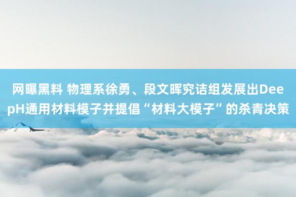 网曝黑料 物理系徐勇、段文晖究诘组发展出DeepH通用材料模子并提倡“材料大模子”的杀青决策