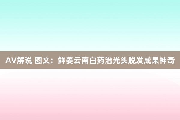 AV解说 图文：鲜姜云南白药治光头脱发成果神奇
